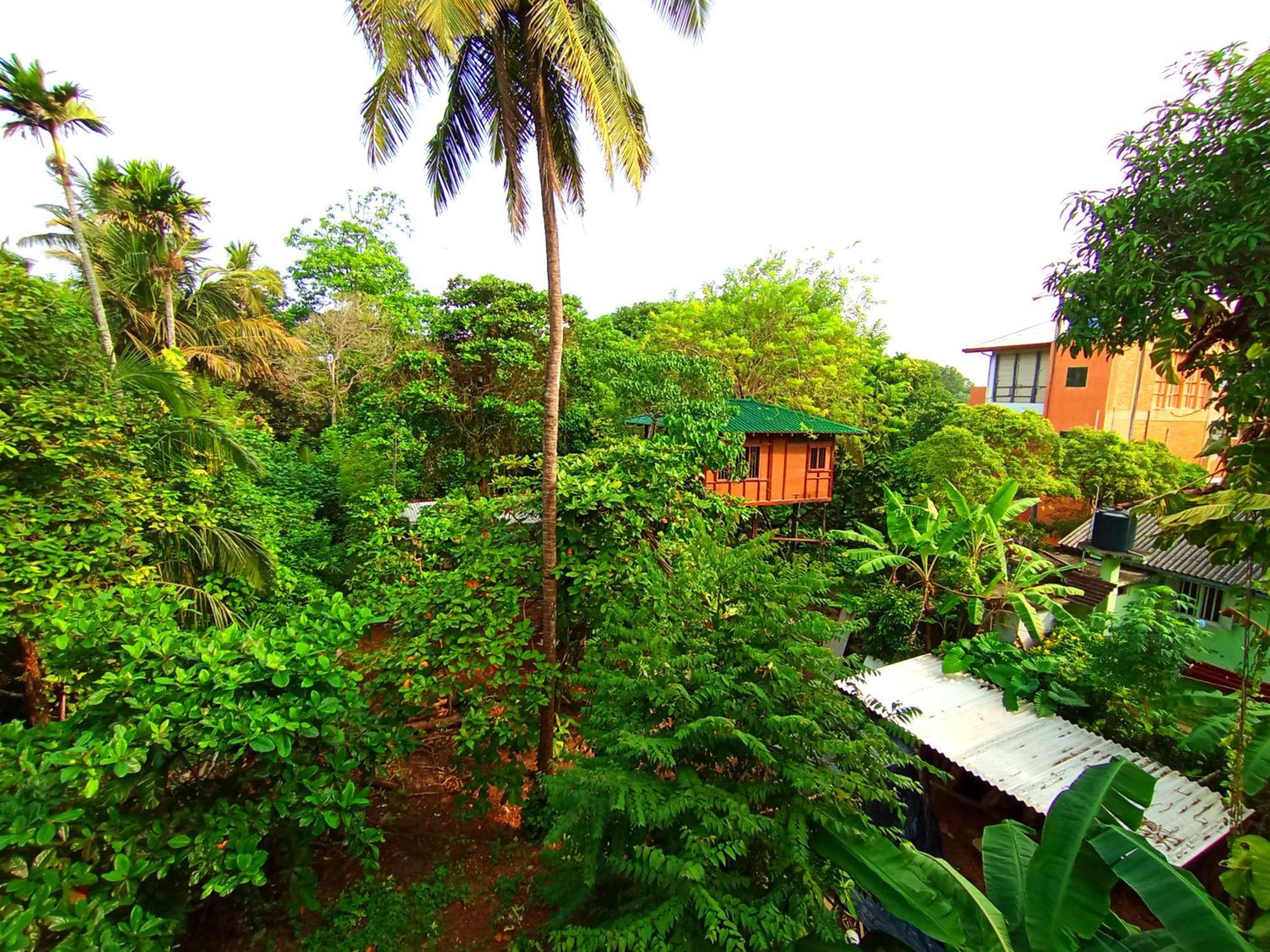 Hotel Lavender Mirissa Exterior foto